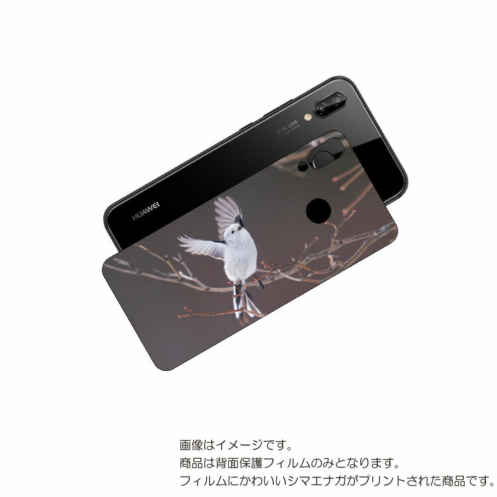 HUAWEI P20 lite 用 背面 保護 フィルム かわいい シマエナガ の プリント ( Photo by 小原玲 ) ★ ファーウェイ ピー トゥエン...
