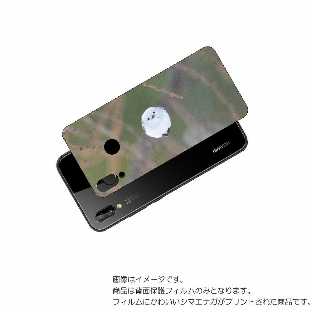 HUAWEI P20 lite 用 背面 保護 フィルム かわいい シマエナガ の プリント ( Photo by 小原玲 ) ★ ファーウェイ ピー トゥエン...