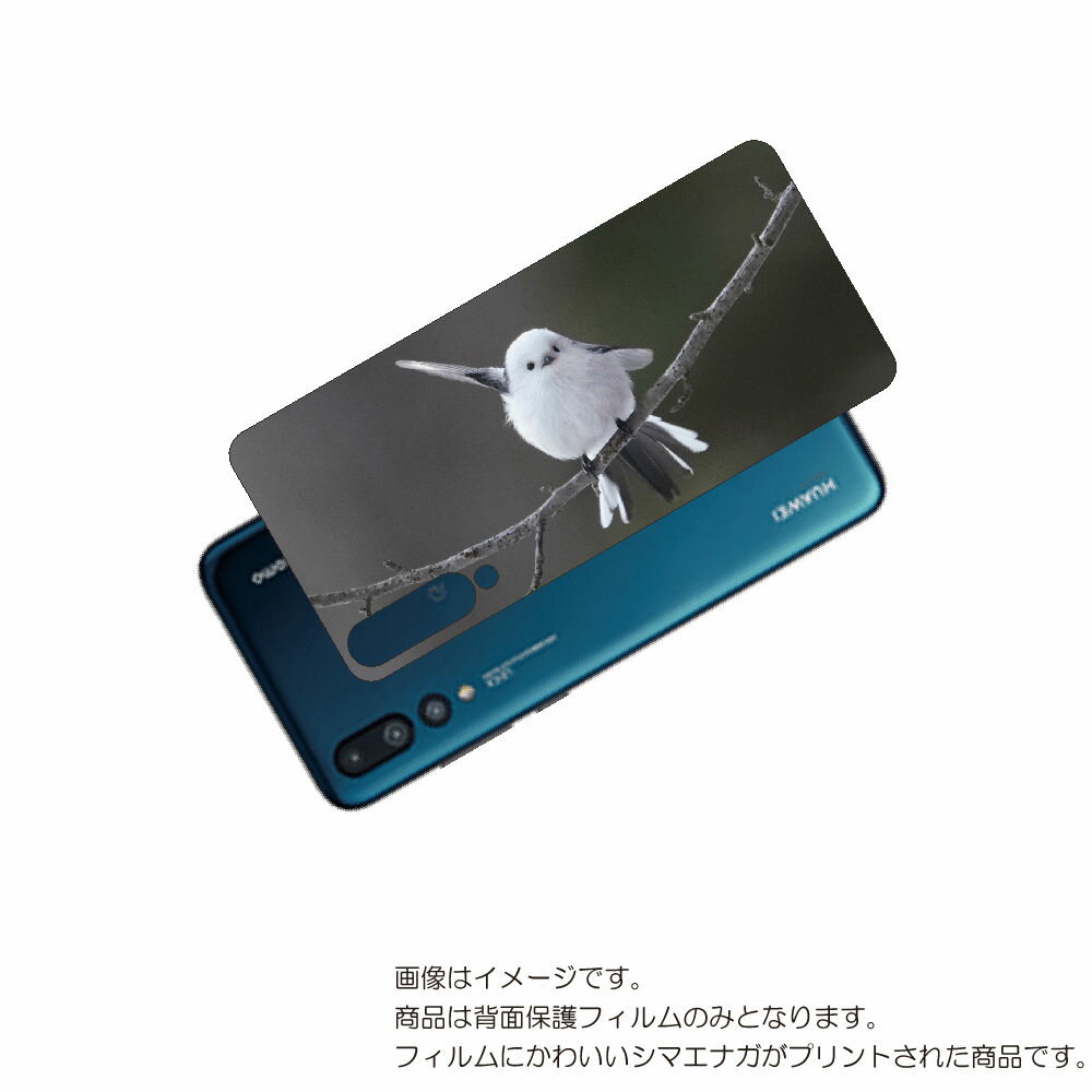 HUAWEI P20 Pro ( HW-01K ) 用 背面 保護 フィルム かわいい シマエナガ の プリント ( Photo by 小原玲 ) ★ ファーウ...