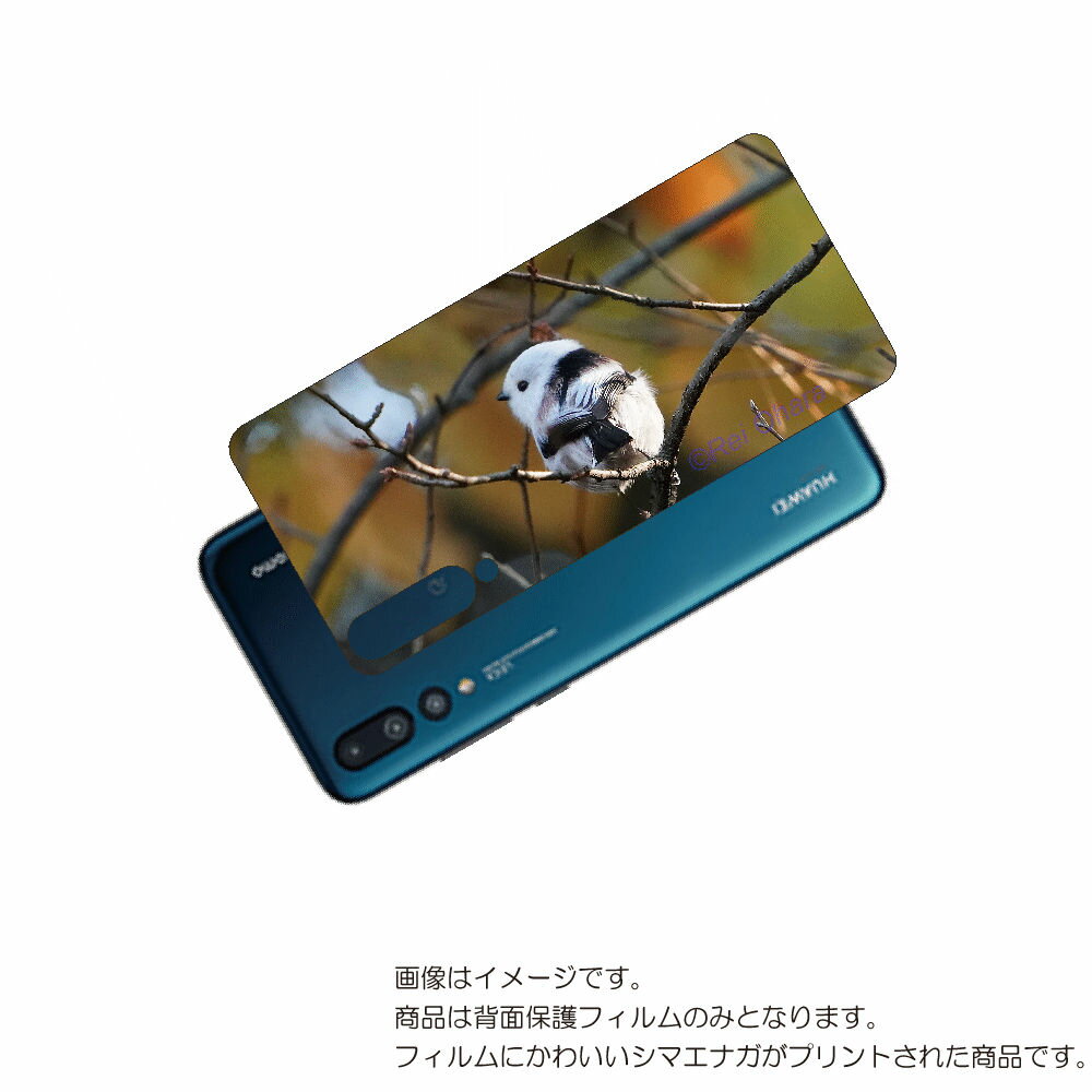HUAWEI P20 Pro ( HW-01K ) 用 背面 保護 フィルム かわいい シマエナガ の プリント ( Photo by 小原玲 ) ★ ファーウ...
