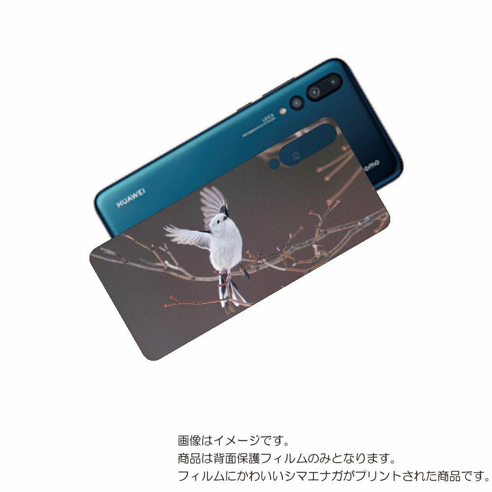 HUAWEI P20 Pro ( HW-01K ) 用 背面 保護 フィルム かわいい シマエナガ の プリント ( Photo by 小原玲 ) ★ ファーウ...