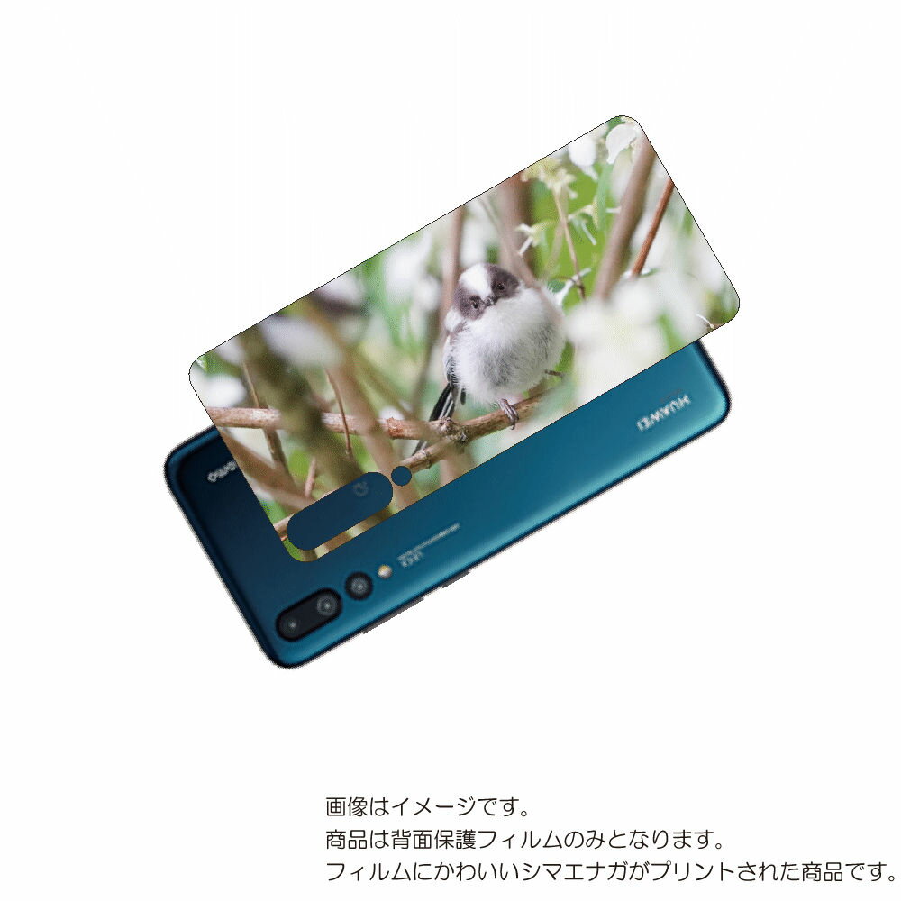 HUAWEI P20 Pro ( HW-01K ) 用 背面 保護 フィルム かわいい シマエナガ の プリント ( Photo by 小原玲 ) ★ ファーウ...