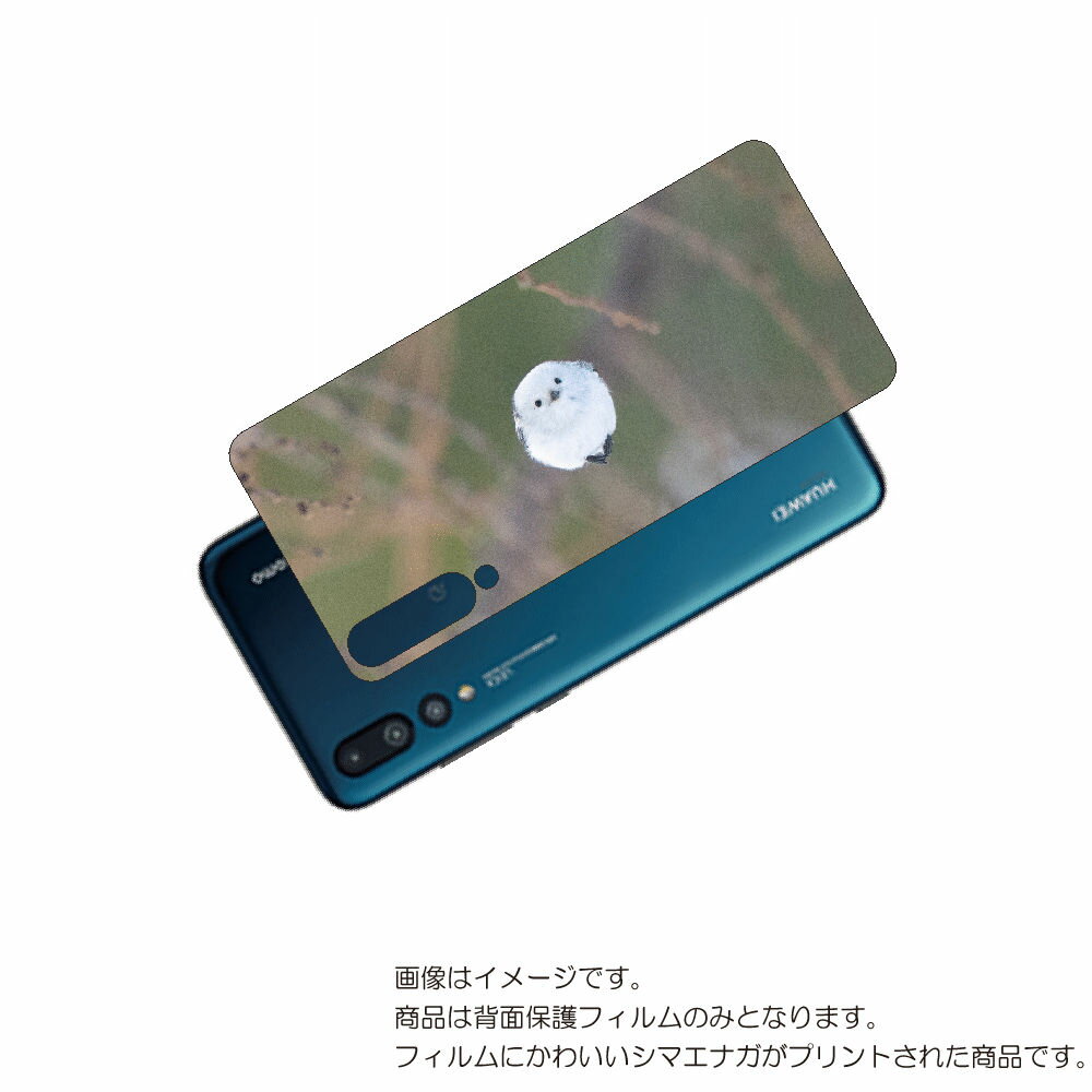 HUAWEI P20 Pro ( HW-01K ) 用 背面 保護 フィルム かわいい シマエナガ の プリント ( Photo by 小原玲 ) ★ ファーウ...