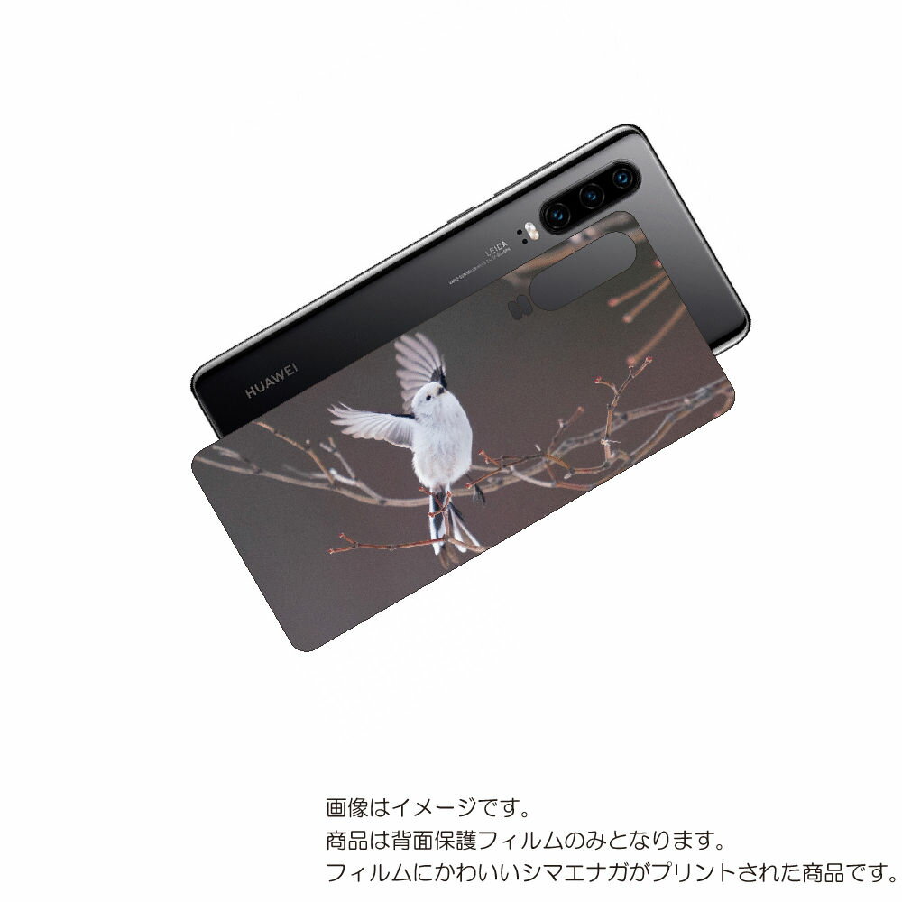 HUAWEI P30 用 背面 保護 フィルム かわいい シマエナガ の プリント ( Photo by 小原玲 ) ★ ファーウェイ ピー サーティ しまえな...
