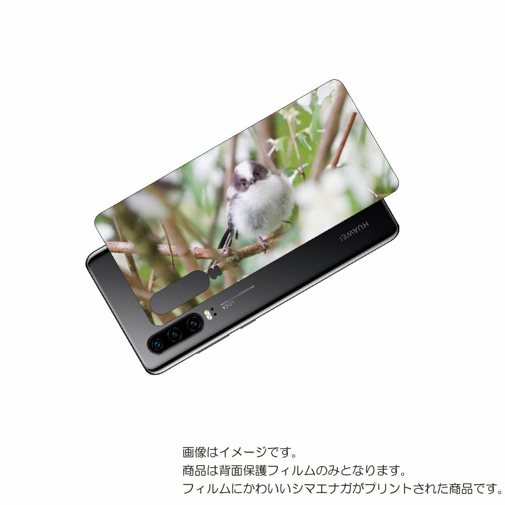 HUAWEI P30 用 背面 保護 フィルム かわいい シマエナガ の プリント ( Photo by 小原玲 ) ★ ファーウェイ ピー サーティ しまえな...