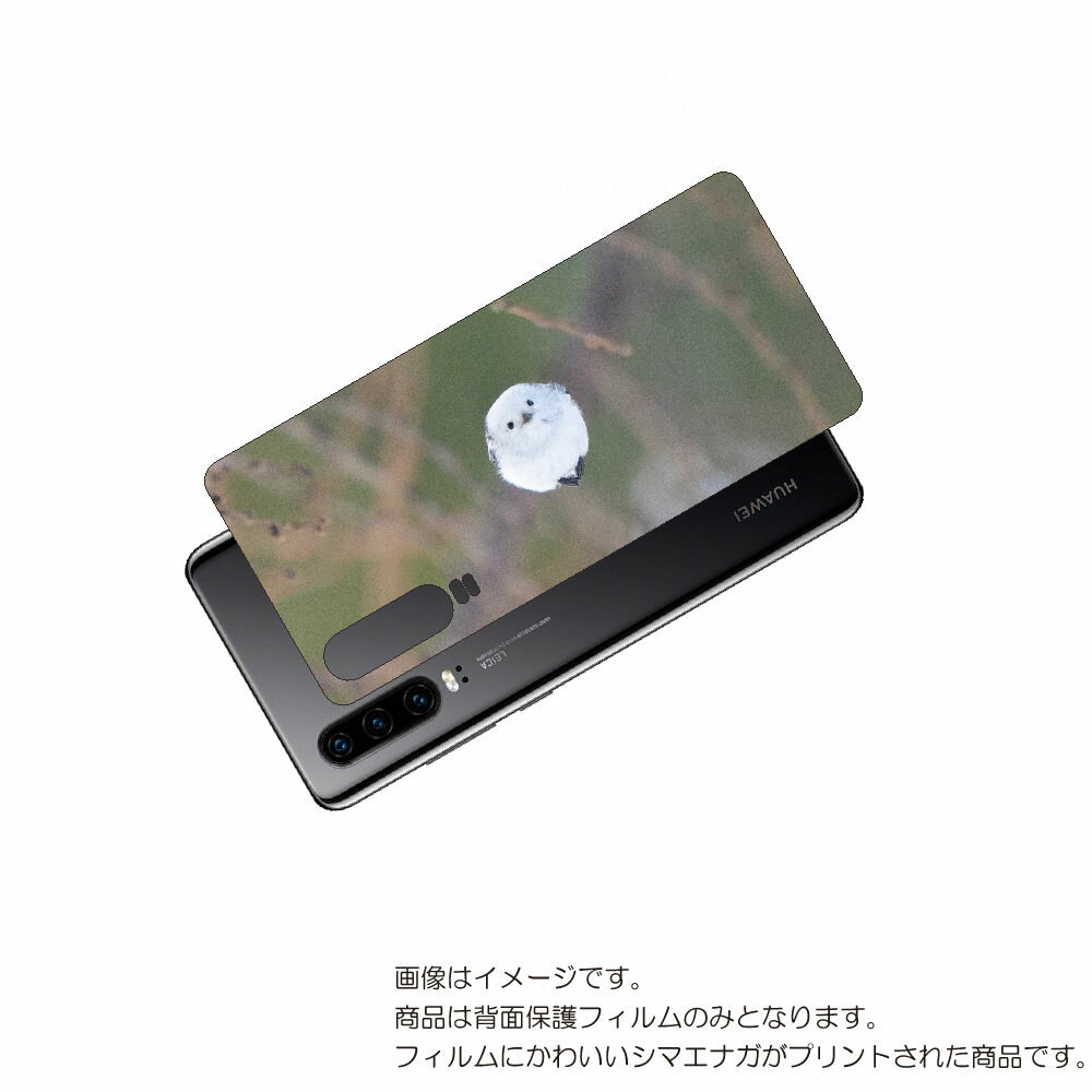 HUAWEI P30 用 背面 保護 フィルム かわいい シマエナガ の プリント ( Photo by 小原玲 ) ★ ファーウェイ ピー サーティ しまえな...