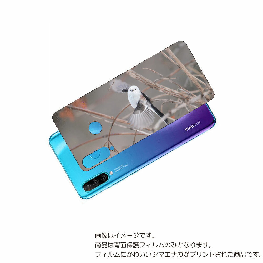 HUAWEI P30 lite 用 背面 保護 フィルム かわいい シマエナガ の プリント ( Photo by 小原玲 ) ★ ファーウェイ ピー サーティ...