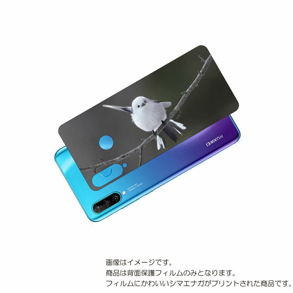 HUAWEI P30 lite 用 背面 保護 フィルム かわいい シマエナガ の プリント ( Photo by 小原玲 ) ★ ファーウェイ ピー サーティ...
