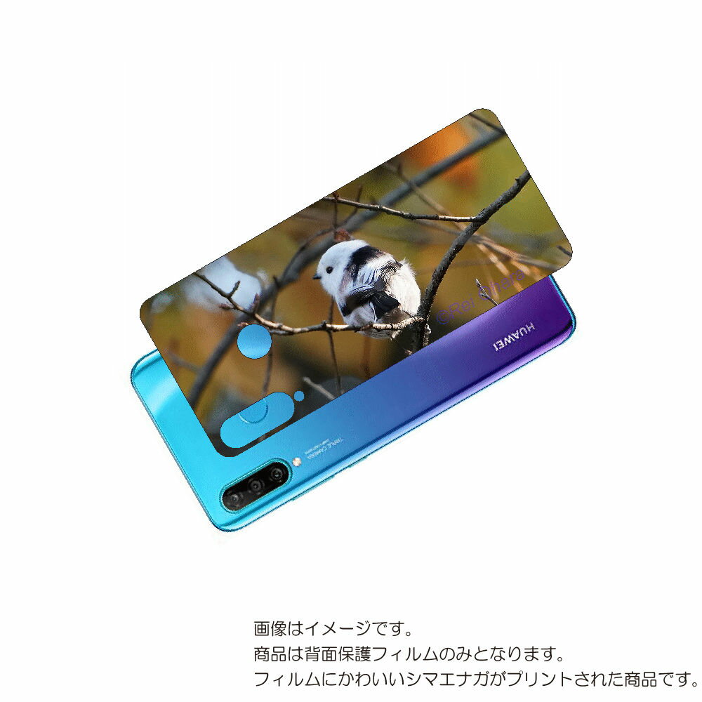 HUAWEI P30 lite 用 背面 保護 フィルム かわいい シマエナガ の プリント ( Photo by 小原玲 ) ★ ファーウェイ ピー サーティ...
