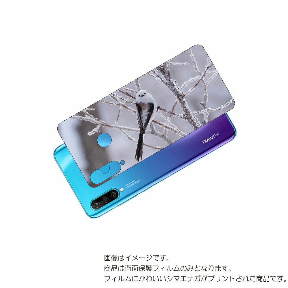 HUAWEI P30 lite   ݸ ե 襤 ޥʥ  ץ ( Photo by  )  ե ԡ ƥ...