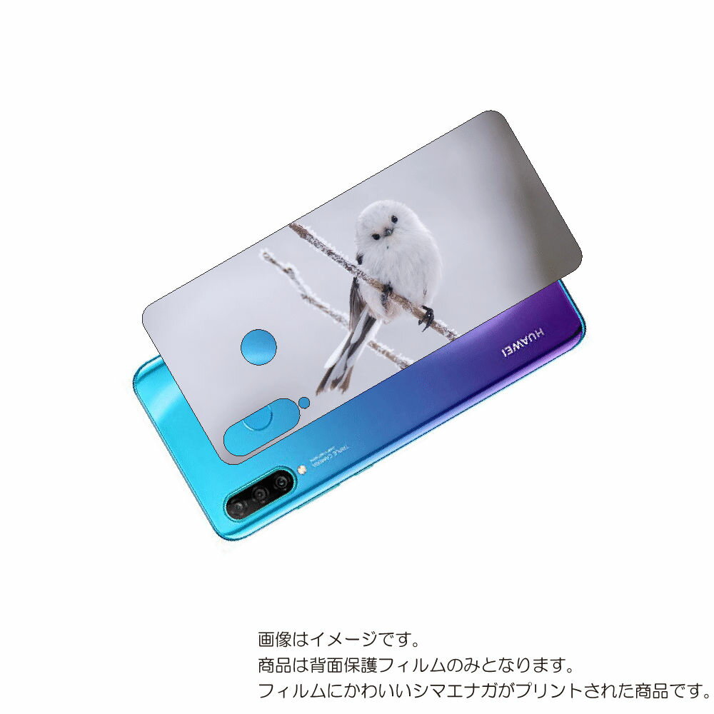 HUAWEI P30 lite   ݸ ե 襤 ޥʥ  ץ ( Photo by  )  ե...