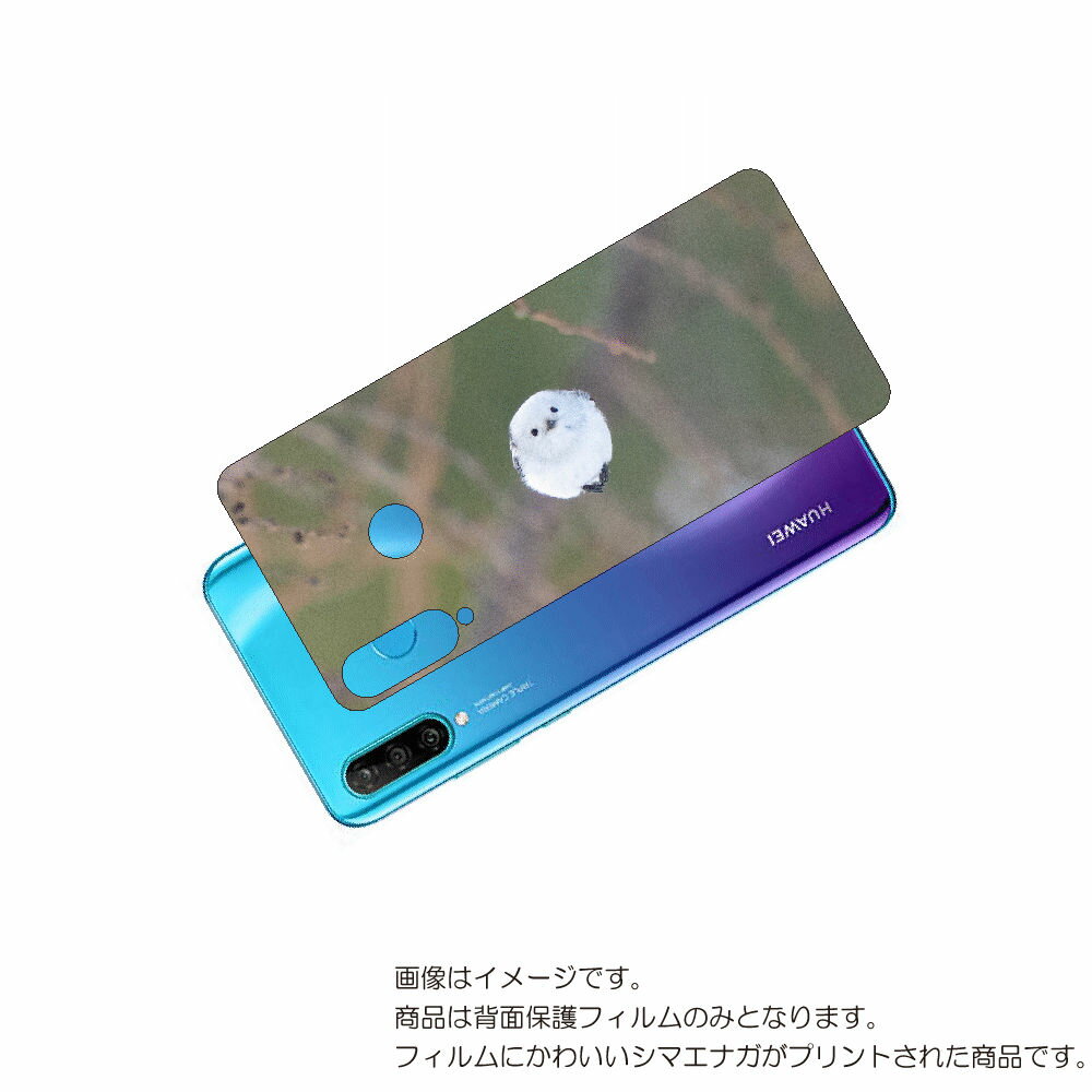 HUAWEI P30 lite 用 背面 保護 フィルム かわいい シマエナガ の プリント ( Photo by 小原玲 ) ★ ファーウェイ ピー サーティ...