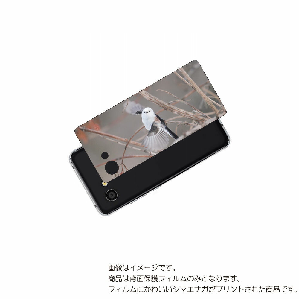 AQUOS R2 compact 用 背面 保護 フィルム かわいい シマエナガ の プリント ( Photo by 小原玲 ) ★ アクオス アール ツー コ...