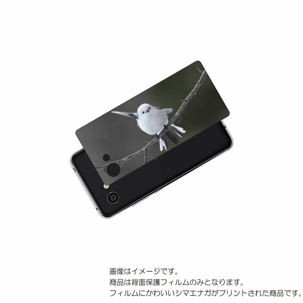 AQUOS R2 compact 用 背面 保護 フィルム かわいい シマエナガ の プリント ( Photo by 小原玲 ) ★ アクオス アール ツー コ...