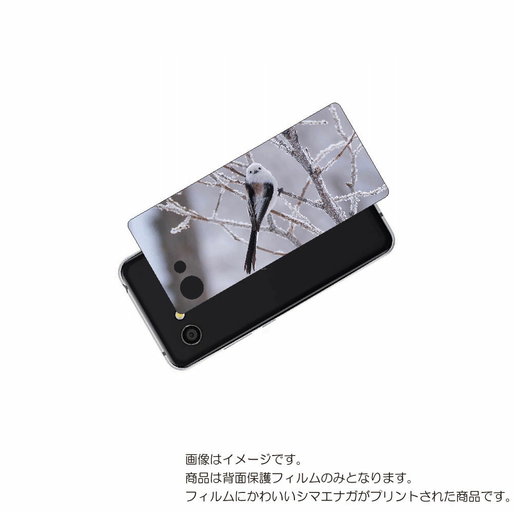 AQUOS R2 compact 用 背面 保護 フィルム かわいい シマエナガ の プリント ( Photo by 小原玲 ) ★ アクオス アール ツー コ...