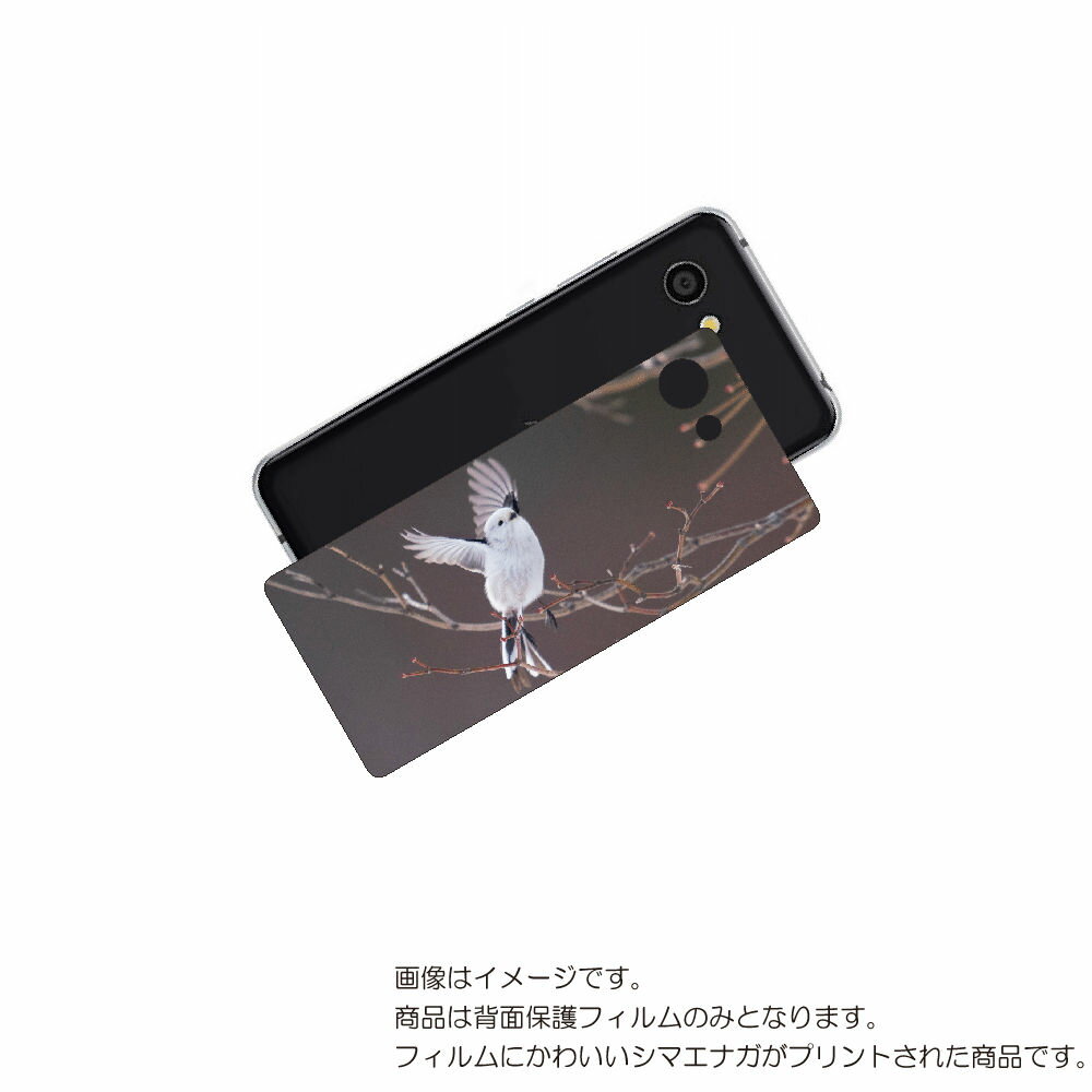 AQUOS R2 compact 用 背面 保護 フィルム かわいい シマエナガ の プリント ( Photo by 小原玲 ) ★ アクオス アール ツー コ...