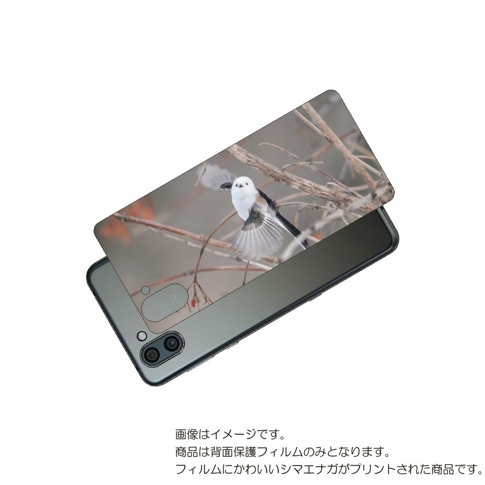 AQUOS R3 用 背面 保護 フィルム かわいい シマエナガ の プリント ( Photo by 小原玲 ) ★ アクオス アール スリー