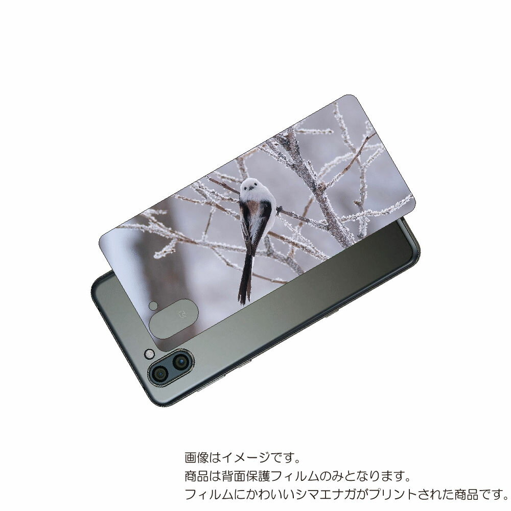 AQUOS R3 用 背面 保護 フィルム かわいい シマエナガ の プリント ( Photo by 小原玲 ) ★ アクオス アール スリー