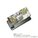 AQUOS R3 用 背面 保護 フィルム かわいい シマエナガ の プリント ( Photo by 小原玲 ) ★ アクオス アール スリー