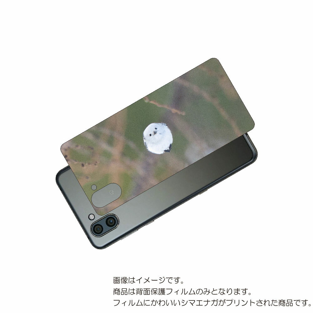 AQUOS R3 用 背面 保護 フィルム かわいい シマエナガ の プリント ( Photo by 小原玲 ) ★ アクオス アール スリー