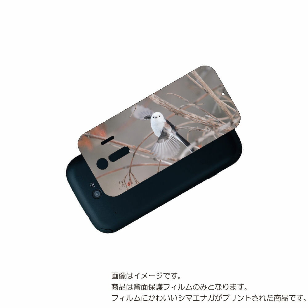 富士通 me F-01L 用 背面 保護 フィルム かわいい シマエナガ の プリント ( Photo by 小原玲 ) ★ Fujitsu ミー しまえなが