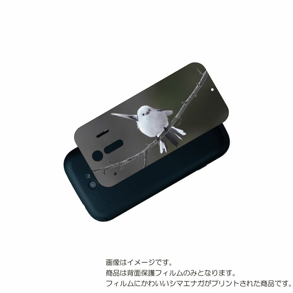 富士通 me F-01L 用 背面 保護 フィルム かわいい シマエナガ の プリント ( Photo by 小原玲 ) ★ Fujitsu ミー しまえなが