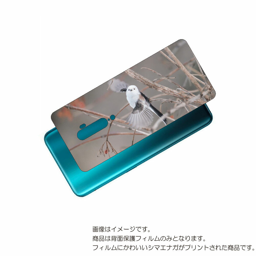 OPPO Reno 10x   ݸ ե 襤 ޥʥ  ץ ( Photo by  )  å  ƥ󥨥å ...