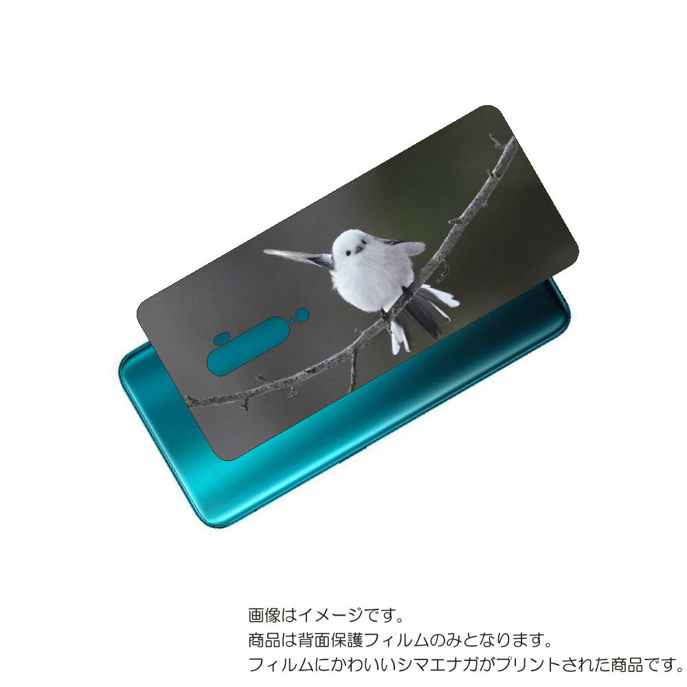 OPPO Reno 10x   ݸ ե 襤 ޥʥ  ץ ( Photo by  )  å  ƥ󥨥å ...