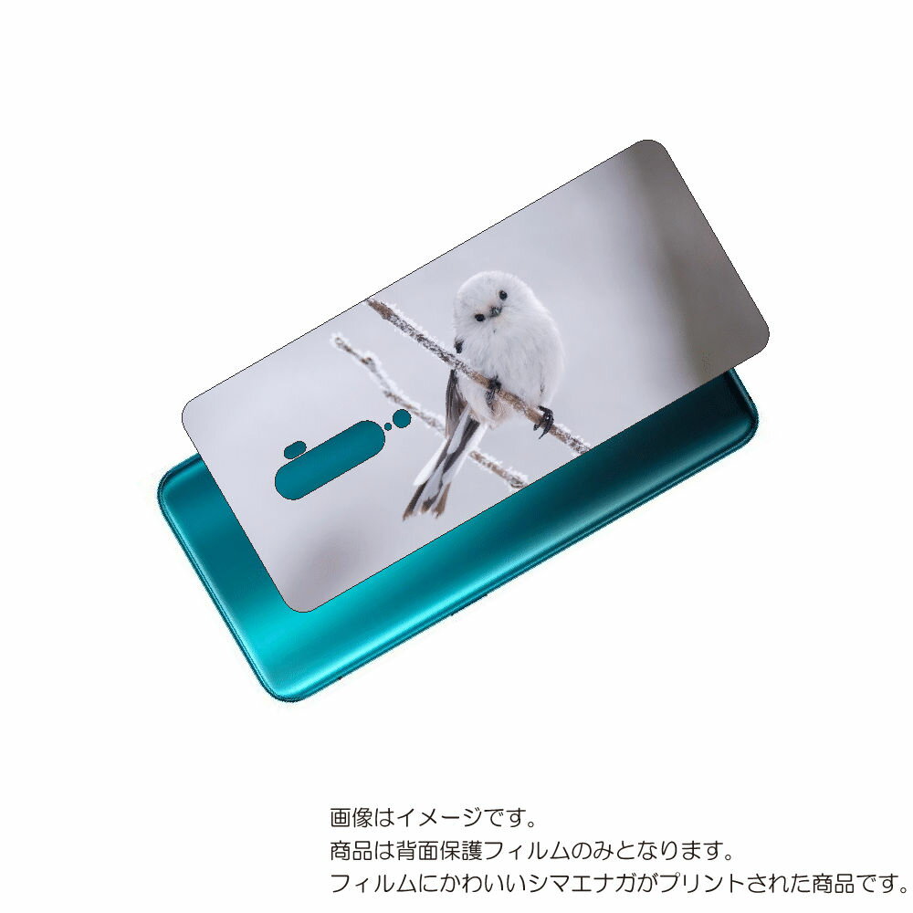 OPPO Reno 10x 用 背面 保護 フィルム かわいい シマエナガ の プリント ( Photo by 小原玲 ) ★ オッポ リノ テンエックス しま...