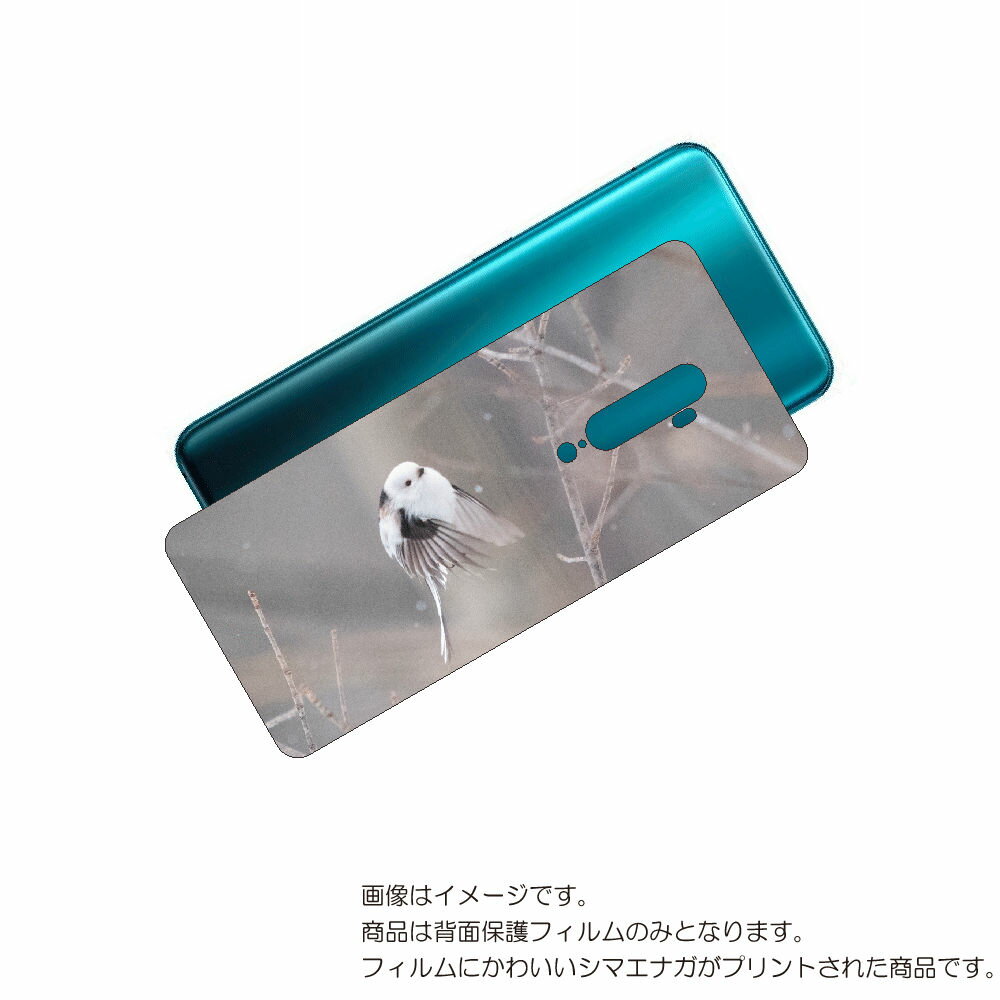 OPPO Reno 10x 用 背面 保護 フィルム かわいい シマエナガ の プリント ( Photo by 小原玲 ) ★ オッポ リノ テンエックス しま...