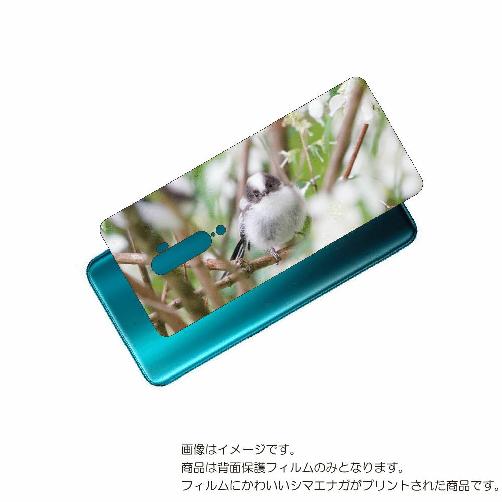 OPPO Reno 10x 用 背面 保護 フィルム かわいい シマエナガ の プリント ( Photo by 小原玲 ) ★ オッポ リノ テンエックス しま...