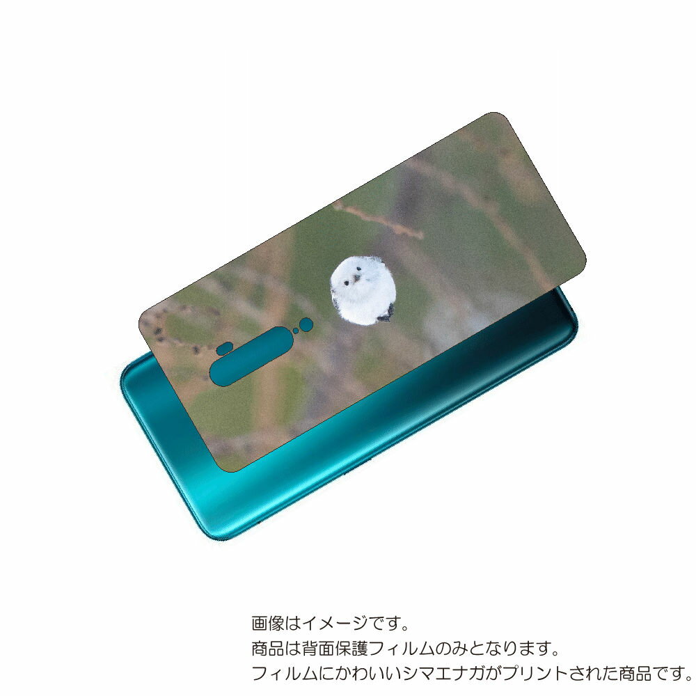 OPPO Reno 10x 用 背面 保護 フィルム かわいい シマエナガ の プリント ( Photo by 小原玲 ) ★ オッポ リノ テンエックス しま...
