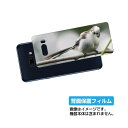 LG G8X ThinQ 901LG 用 背面 保護 フィルム かわいい シマエナガ の プリント ( Photo by 小原玲 ) ★ エルジー ジーエイトエ...