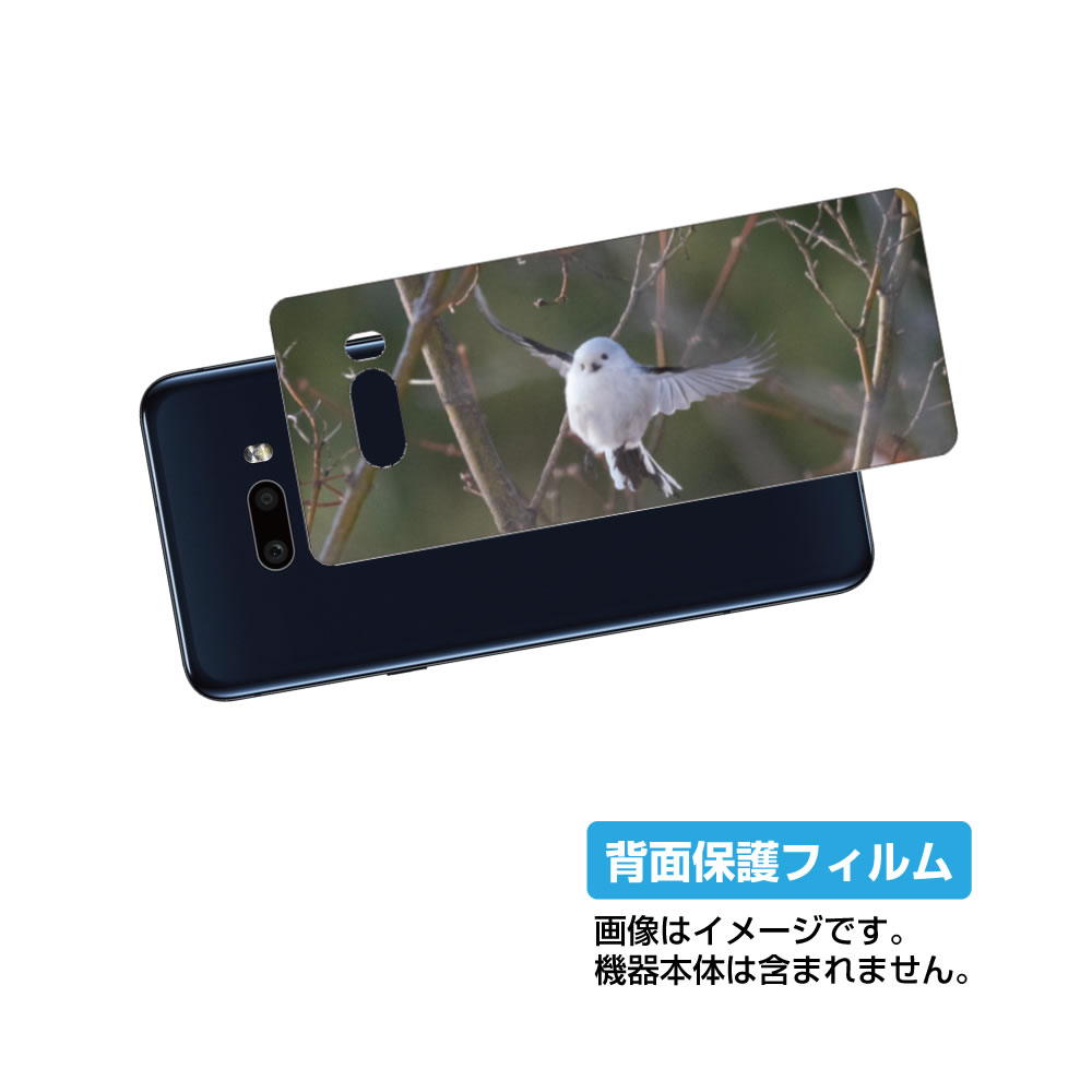 LG G8X ThinQ 901LG 用 背面 保護 フィルム かわいい シマエナガ の プリント ( Photo by 小原玲 ) ★ エルジー ジーエイトエ...