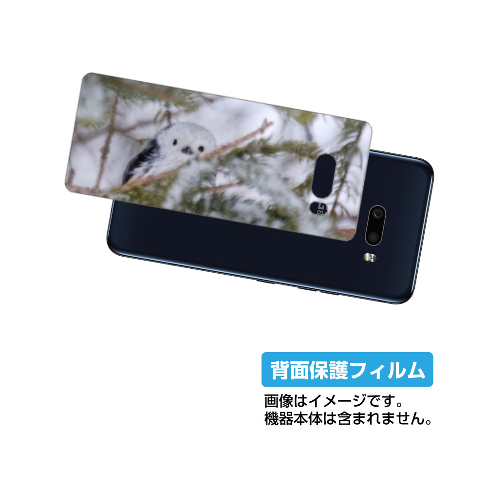 LG G8X ThinQ 901LG 用 背面 保護 フィルム かわいい シマエナガ の プリント ( Photo by 小原玲 ) ★ エルジー ジーエイトエ...