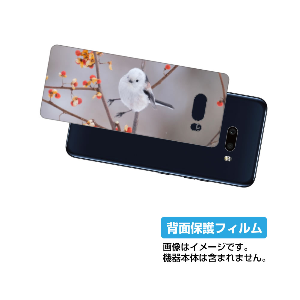 LG G8X ThinQ 901LG 用 背面 保護 フィルム かわいい シマエナガ の プリント ( Photo by 小原玲 ) ★ エルジー ジーエイトエ...