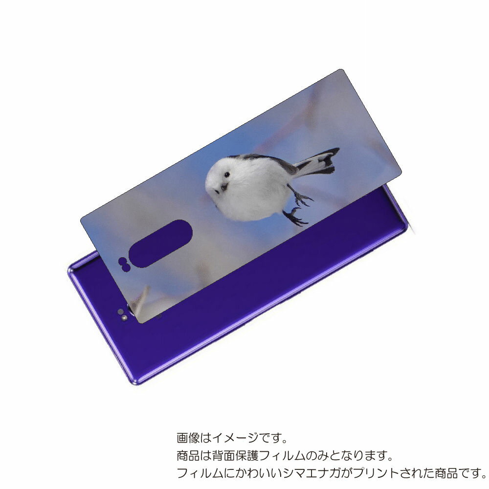 SONY Xperia 1 用 背面 保護 フィルム かわいい シマエナガ の プリント ( Photo by 小原玲 ) ★ ソニー エクスペリア ワン しま...