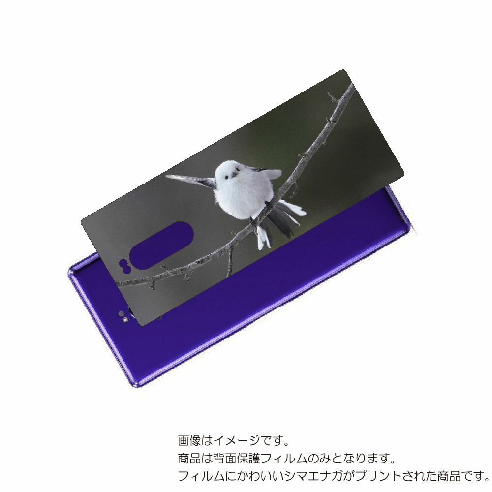 SONY Xperia 1 用 背面 保護 フィルム かわいい シマエナガ の プリント ( Photo by 小原玲 ) ★ ソニー エクスペリア ワン しま...