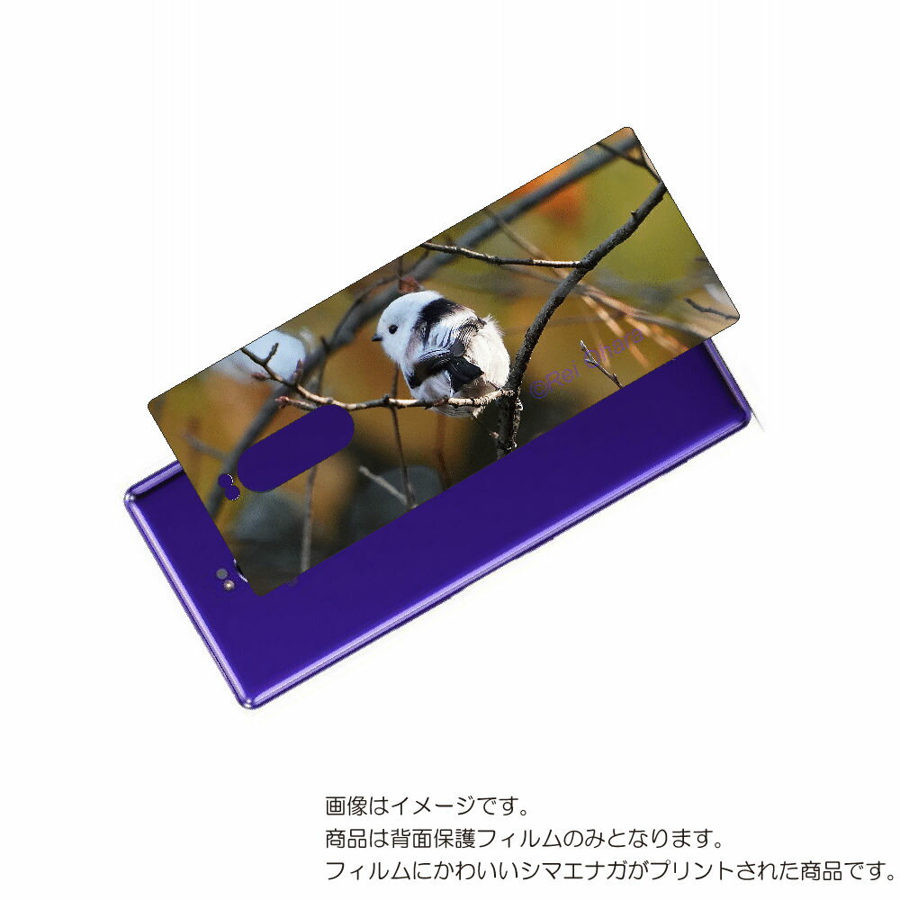 SONY Xperia 1 用 背面 保護 フィルム かわいい シマエナガ の プリント ( Photo by 小原玲 ) ★ ソニー エクスペリア ワン しま...