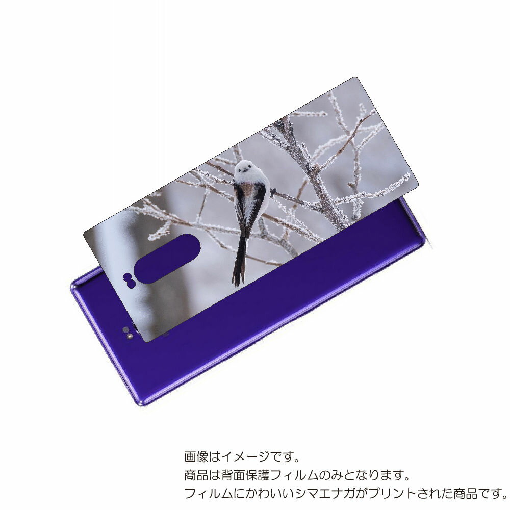 SONY Xperia 1 用 背面 保護 フィルム かわいい シマエナガ の プリント ( Photo by 小原玲 ) ★ ソニー エクスペリア ワン しま...