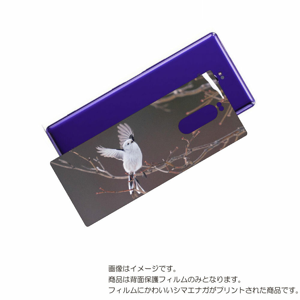 SONY Xperia 1 用 背面 保護 フィルム かわいい シマエナガ の プリント ( Photo by 小原玲 ) ★ ソニー エクスペリア ワン しま...