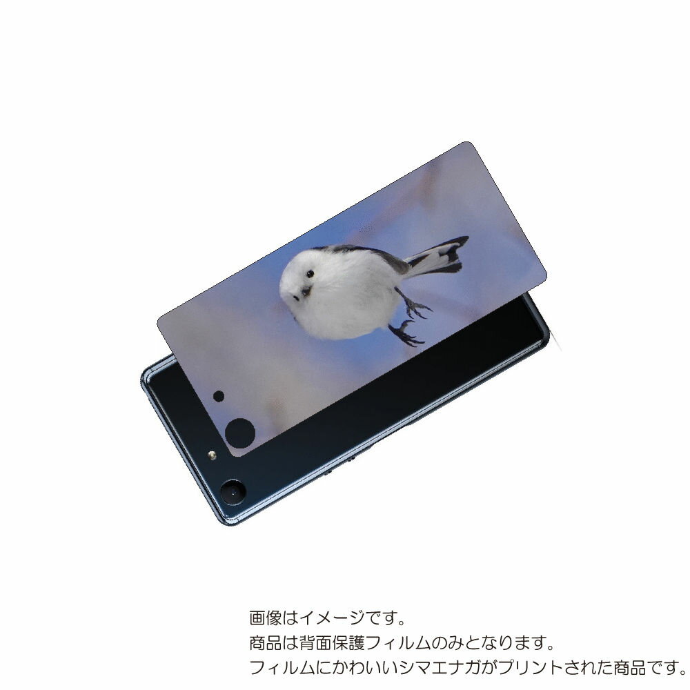 SONY Xperia Ace 用 背面 保護 フィルム かわいい シマエナガ の プリント ( Photo by 小原玲 ) ★ ソニー エクスペリア エース...