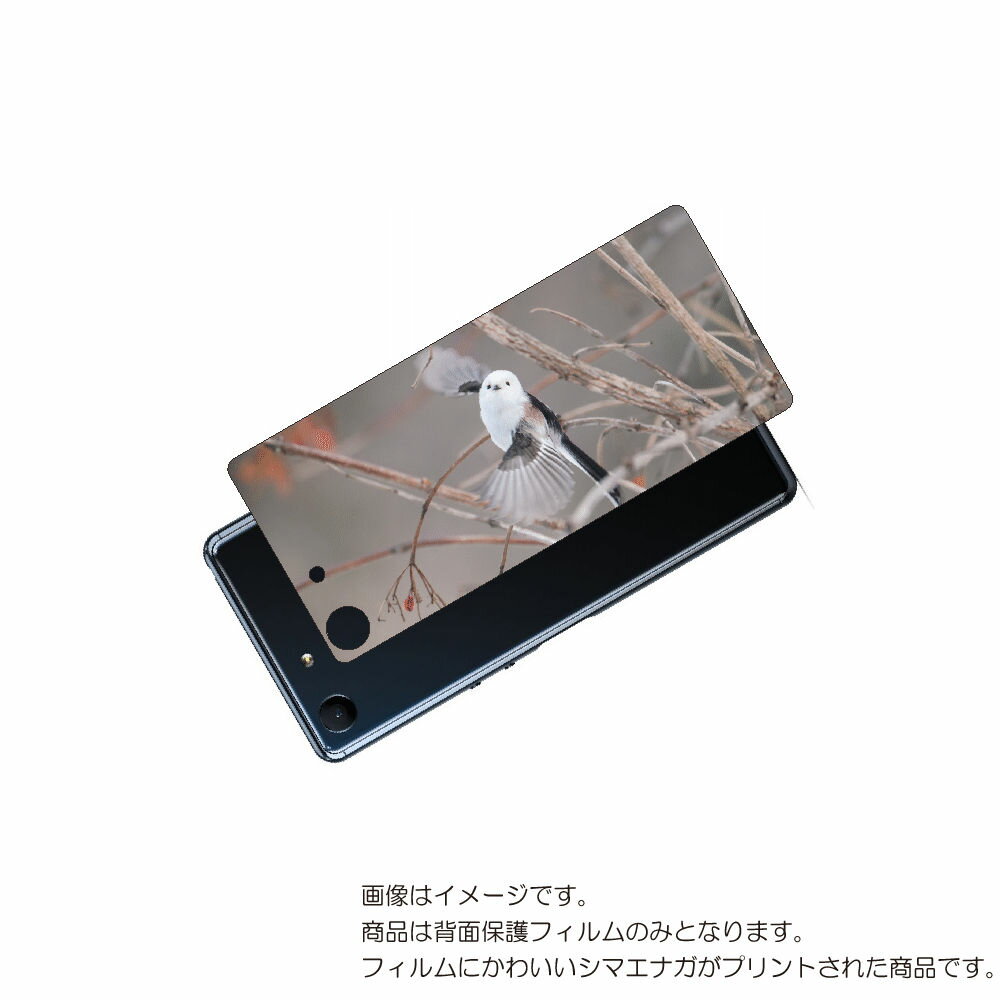 SONY Xperia Ace 用 背面 保護 フィルム かわいい シマエナガ の プリント ( Photo by 小原玲 ) ★ ソニー エクスペリア エース...