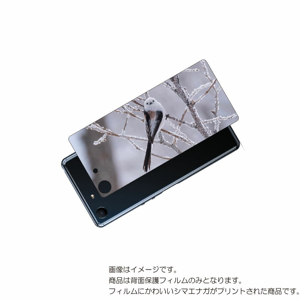 SONY Xperia Ace 用 背面 保護 フィルム かわいい シマエナガ の プリント ( Photo by 小原玲 ) ★ ソニー エクスペリア エース...