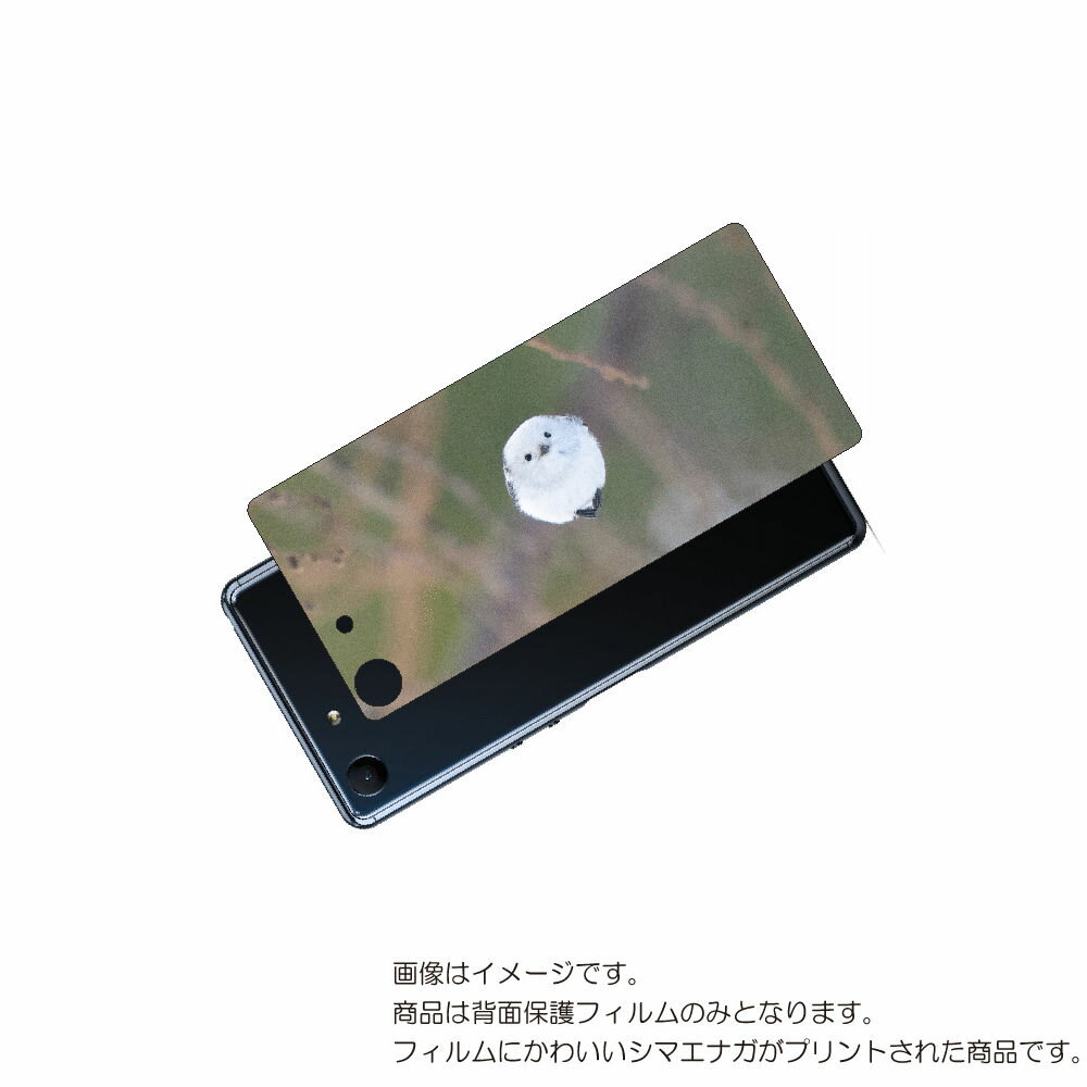 SONY Xperia Ace 用 背面 保護 フィルム かわいい シマエナガ の プリント ( Photo by 小原玲 ) ★ ソニー エクスペリア エース...