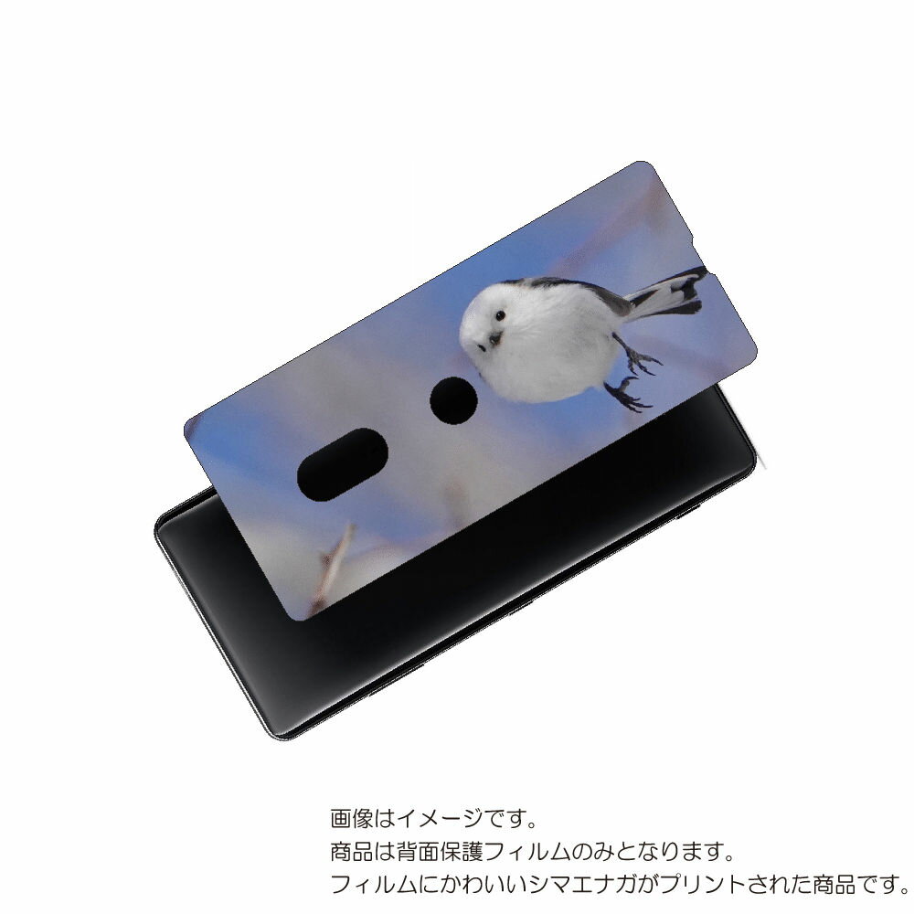 SONY Xperia XZ3 用 背面 保護 フィルム かわいい シマエナガ の プリント ( Photo by 小原玲 ) ★ ソニー エクスペリア エック...