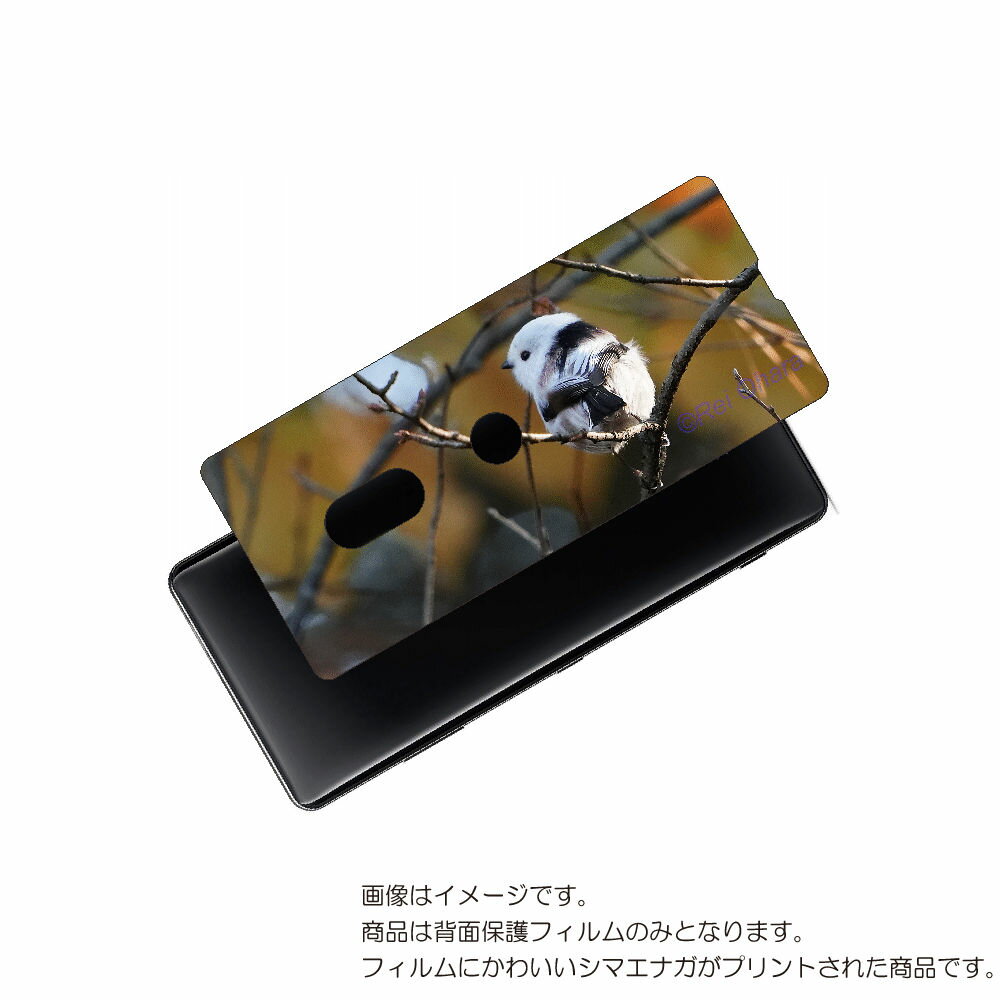 SONY Xperia XZ3 用 背面 保護 フィルム かわいい シマエナガ の プリント ( Photo by 小原玲 ) ★ ソニー エクスペリア エック...