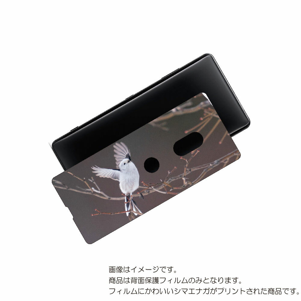 SONY Xperia XZ3 用 背面 保護 フィルム かわいい シマエナガ の プリント ( Photo by 小原玲 ) ★ ソニー エクスペリア エック...