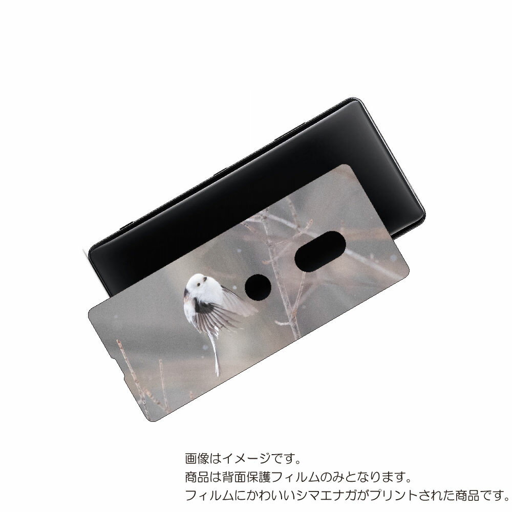 SONY Xperia XZ3 用 背面 保護 フィルム かわいい シマエナガ の プリント ( Photo by 小原玲 ) ★ ソニー エクスペリア エック...