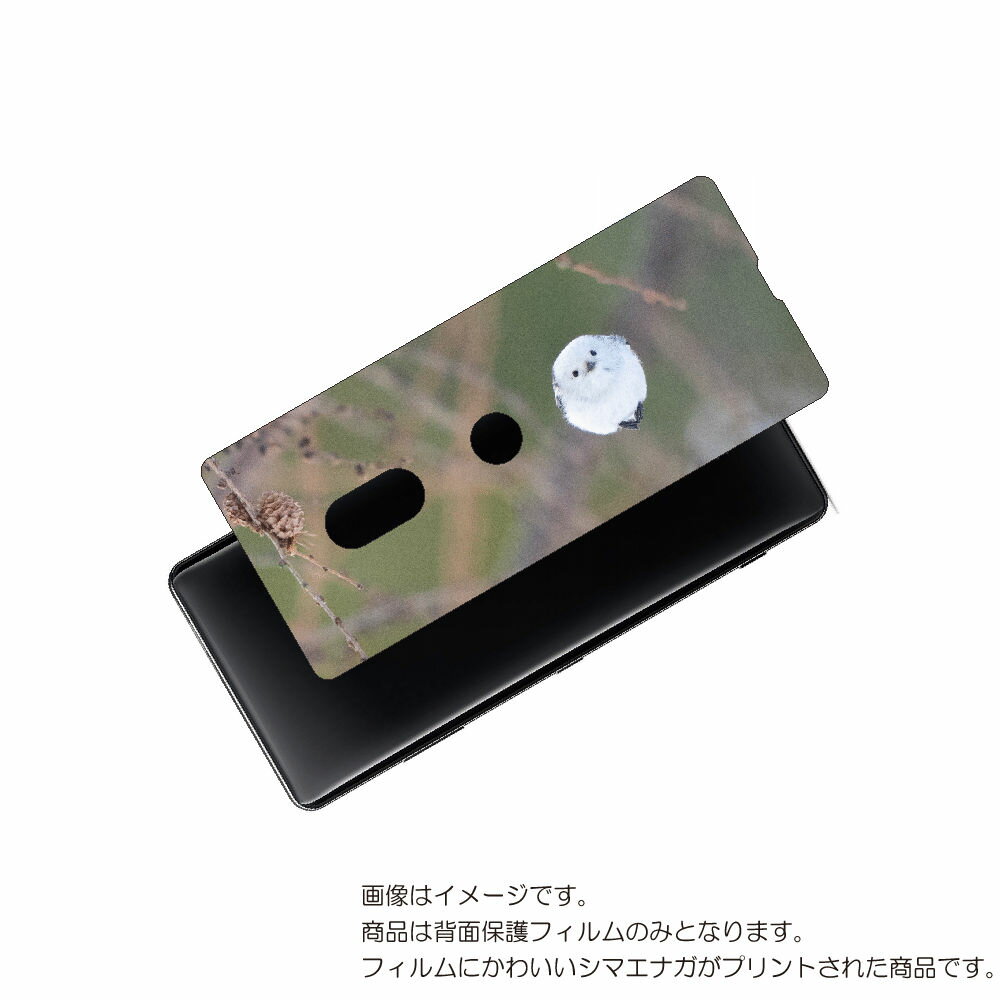 SONY Xperia XZ3 用 背面 保護 フィルム かわいい シマエナガ の プリント ( Photo by 小原玲 ) ★ ソニー エクスペリア エック...